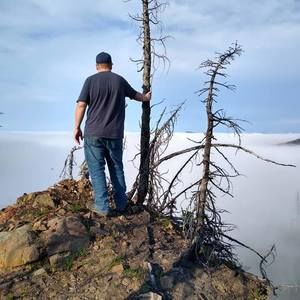 Meet your Posher, William